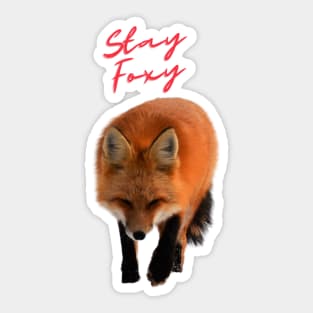 Stay Foxy Sticker